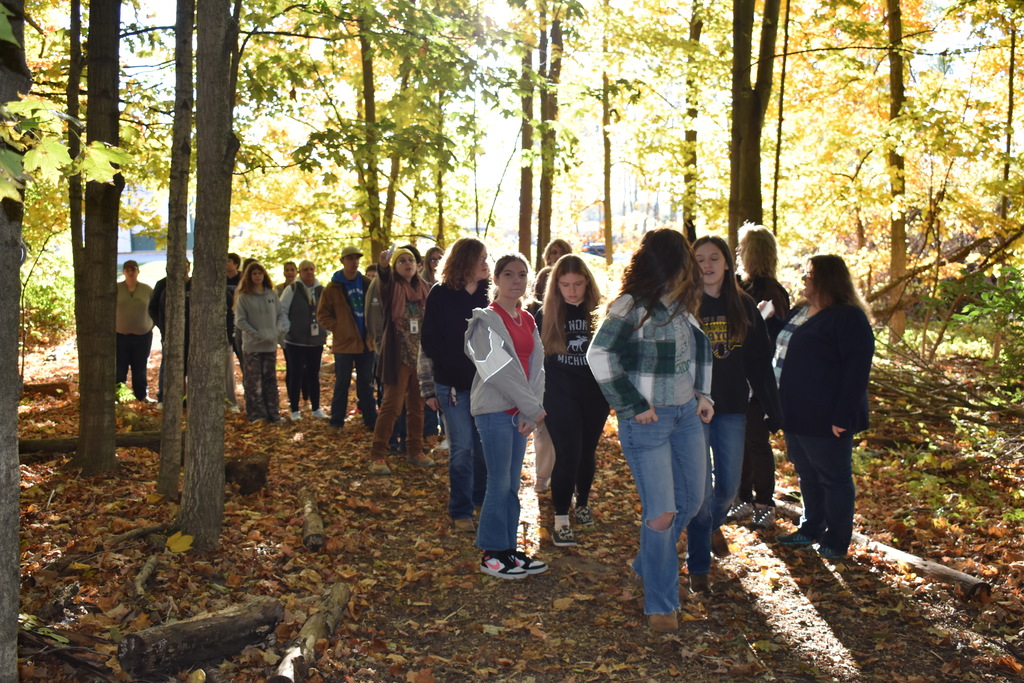 Students walking in the woods 