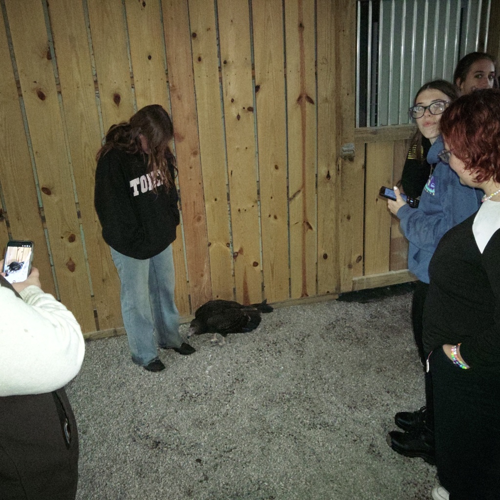 Students and standing by a live Turkey Vulture.