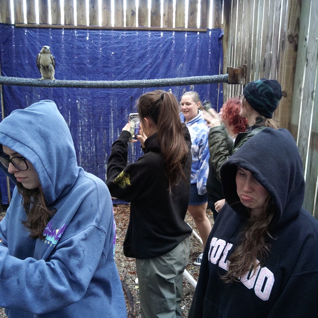Students are standing in a flight cage with a hawk.