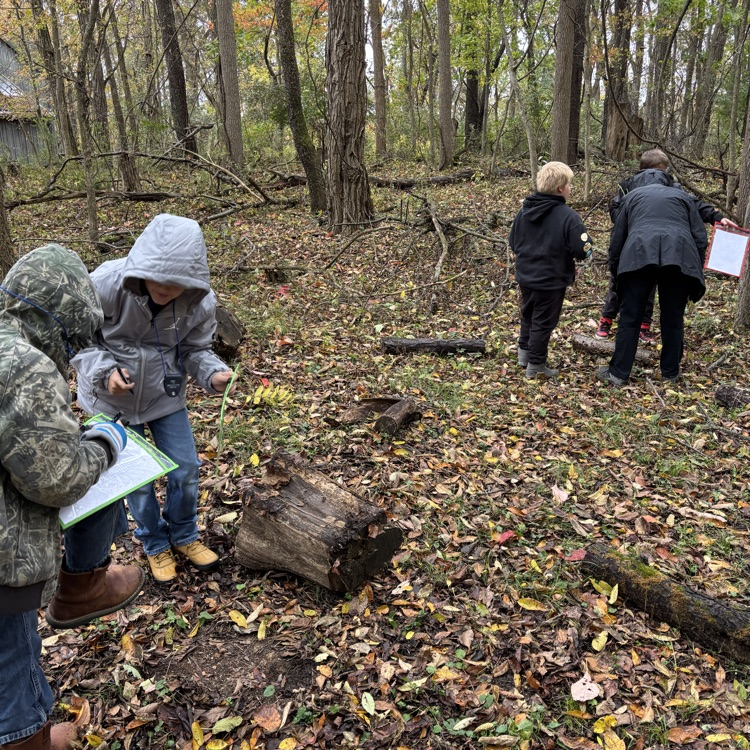 a group of students an an adult hunch over logs to make observations