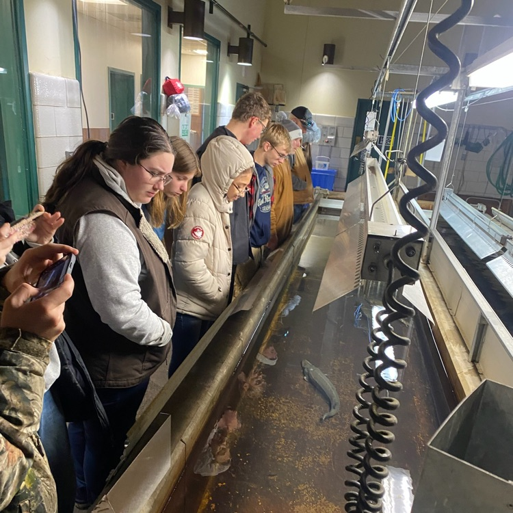 students looking at fish in a tank 