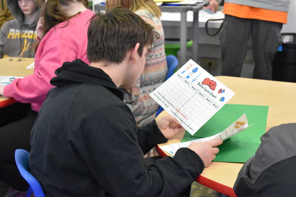 a student reviewing the daily care chart of the fish
