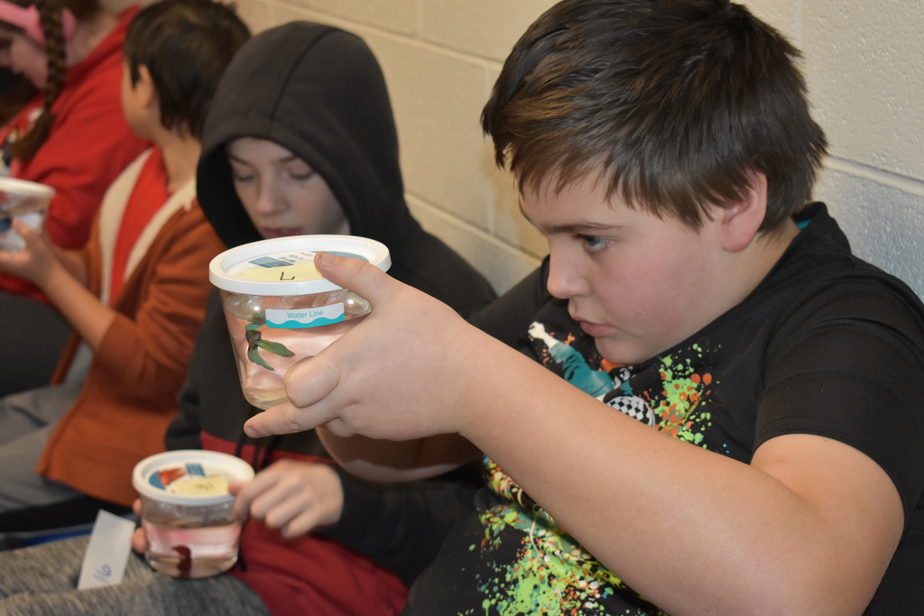 A student checking out his new fish