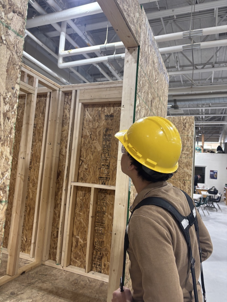 sheds in building trades