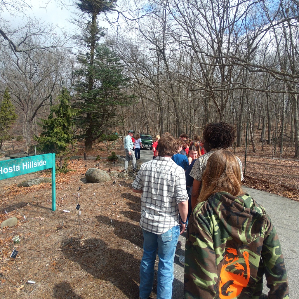 Hosta hillside tour.