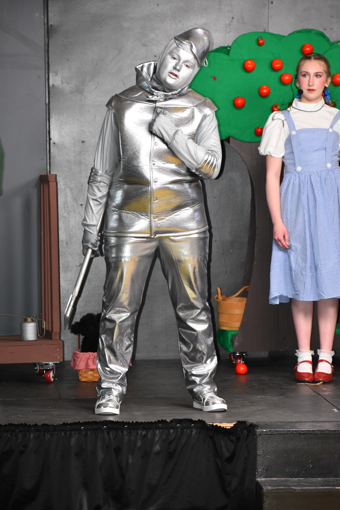 The tin man mid song