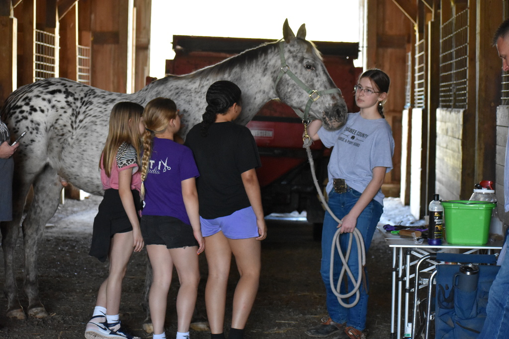 Students learning about horses with a real horse and another young person teaching them