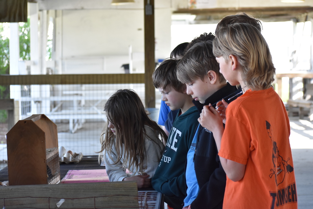 Young students looking into a cage with an animal in it