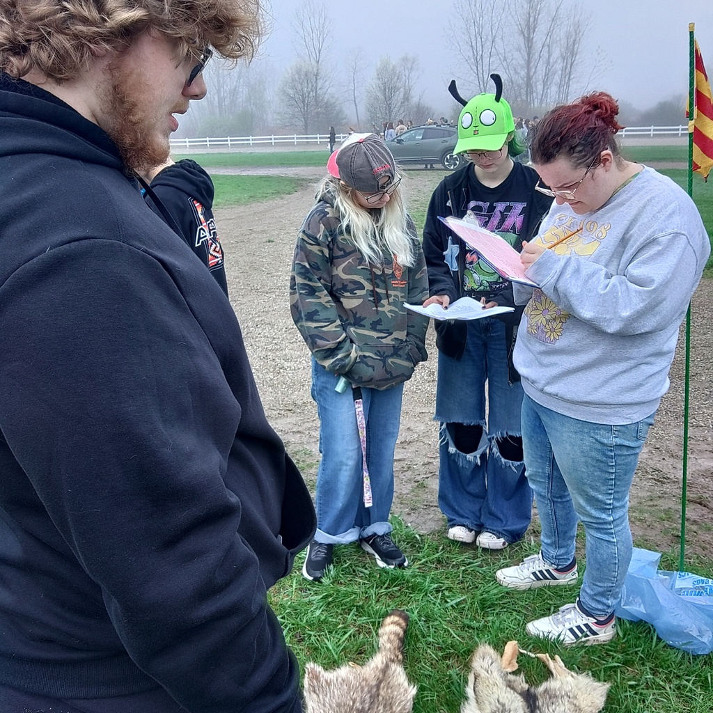 Students look at furs
