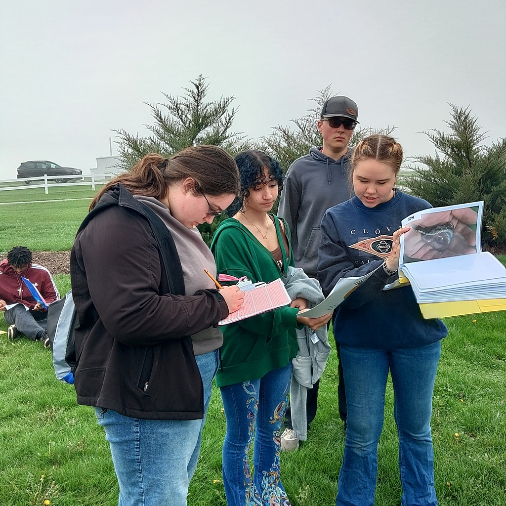 Students identify herptiles