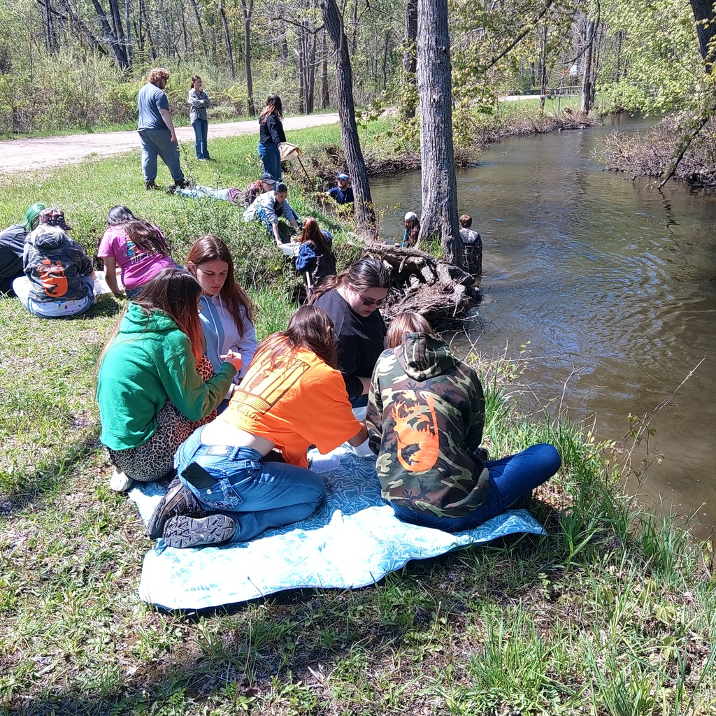 Natural Resources students searching for macroinvertebrates along the bank of the Raisin River.