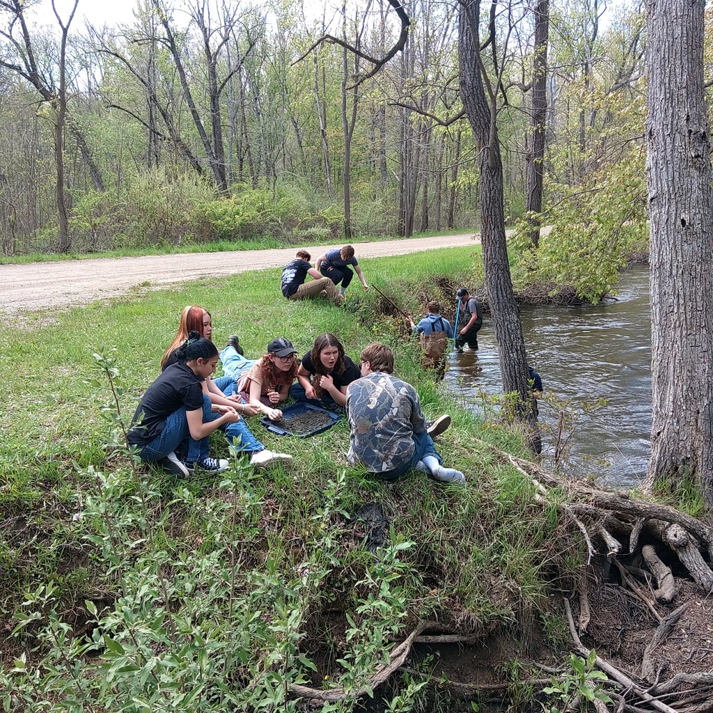 Natural Resources students searching for macroinvertebrates along the bank of the Raisin River.