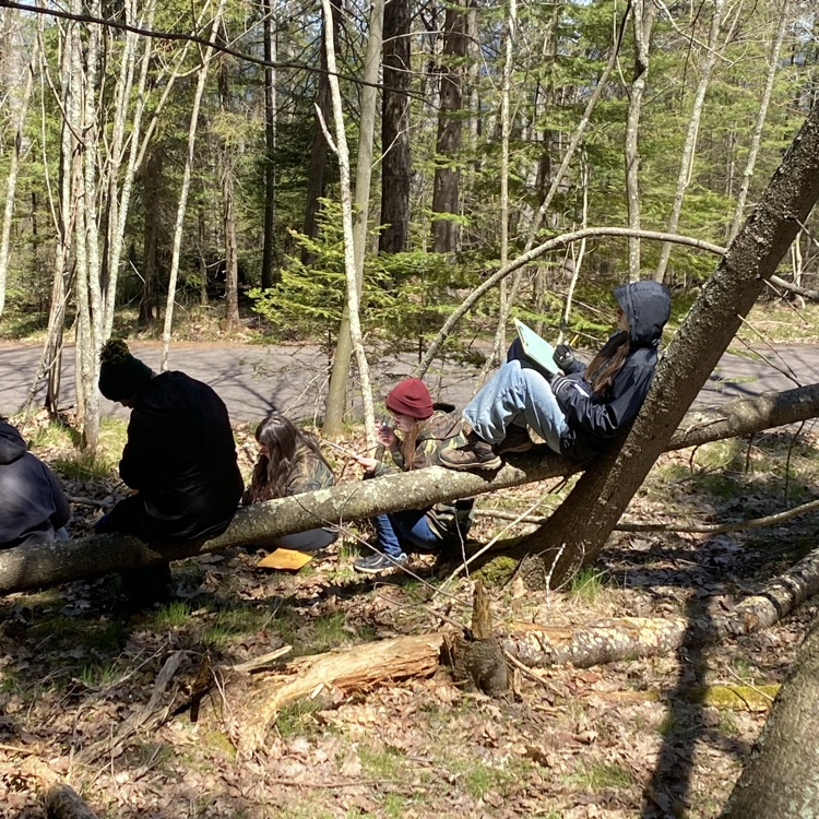 Students testing