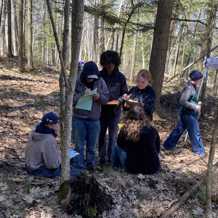 Students testing