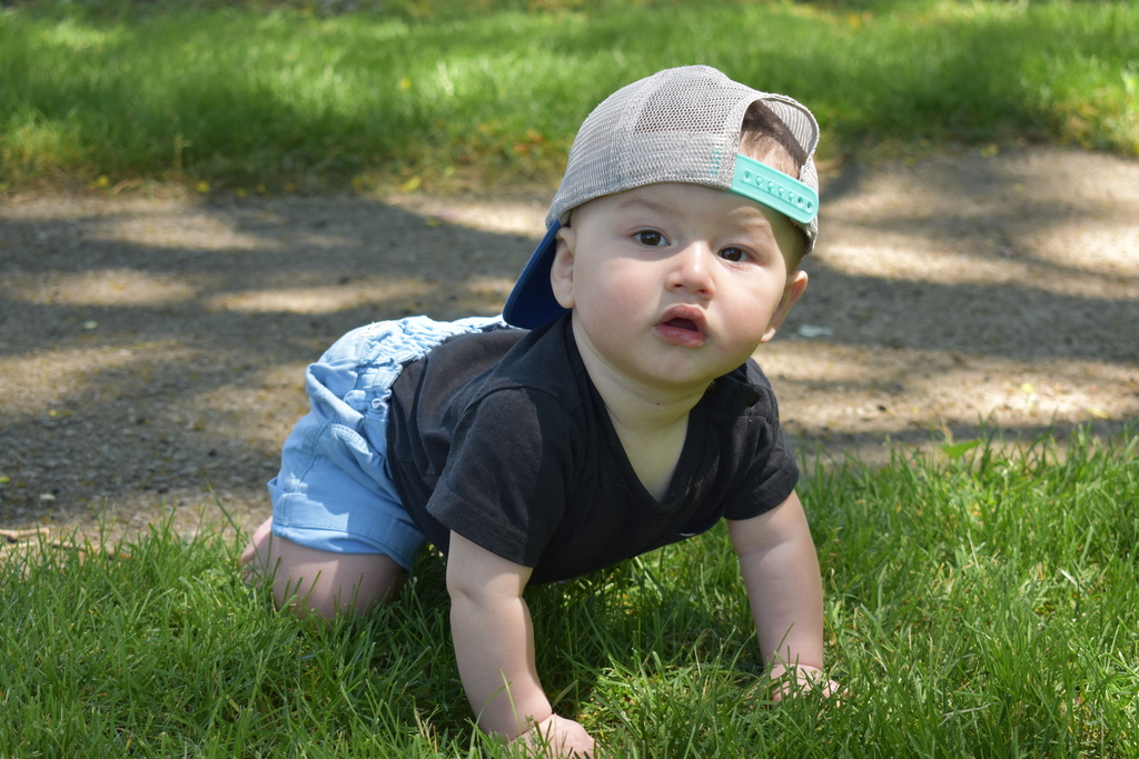 One of the babies crawling in the grass