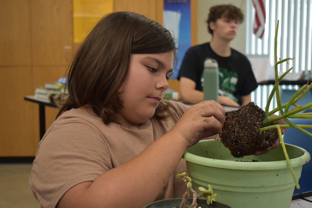 A student holding a plant in soil over a pot