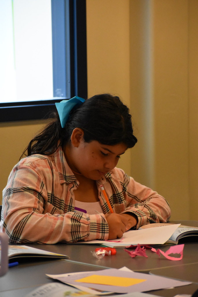 A student working on a writing assignment at her desk