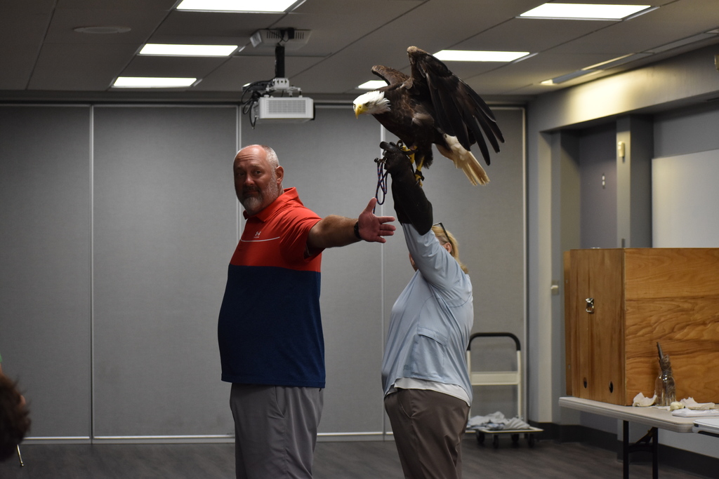 A presenter and teacher demonstrating a bald eagle vs adult male wing span