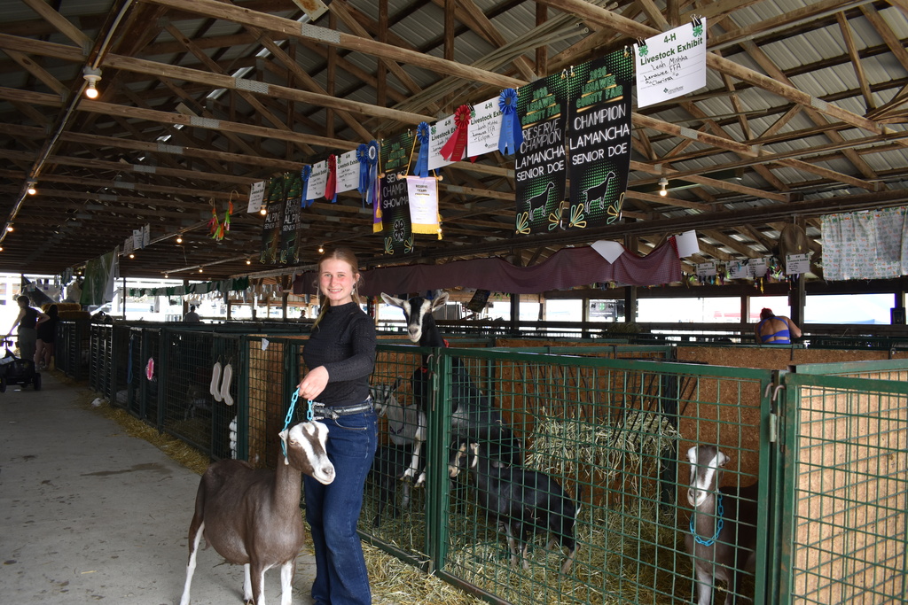 An FFA student posing with her goat inside a barn with other goats in the area