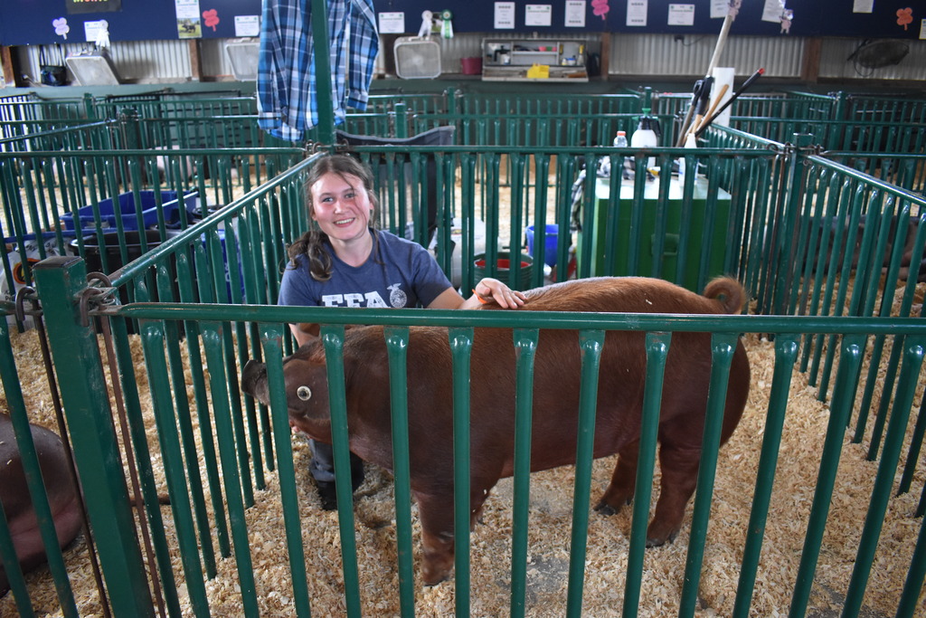 An FFA student smiling behind her pig in the pen