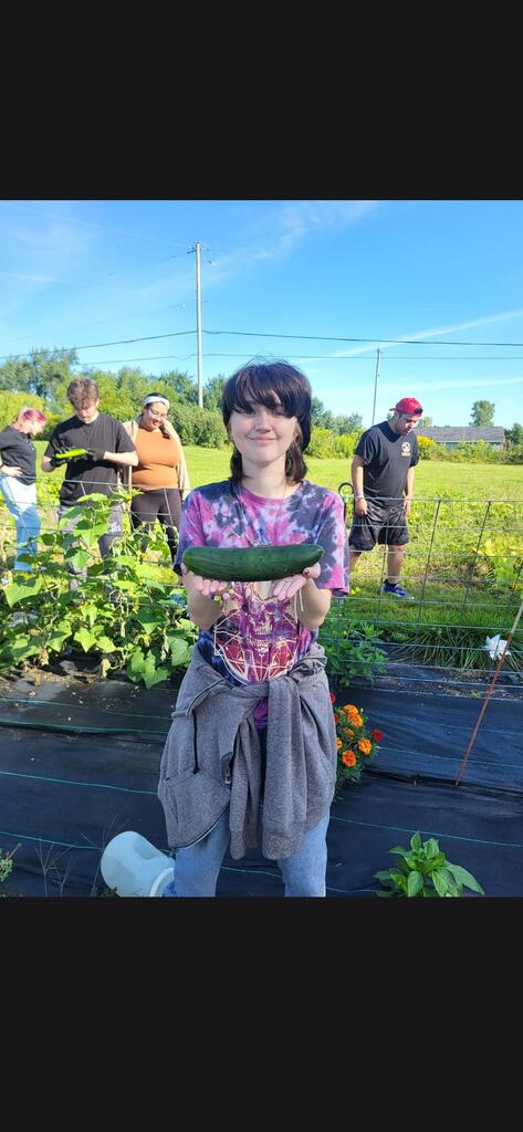 garden cucumber
