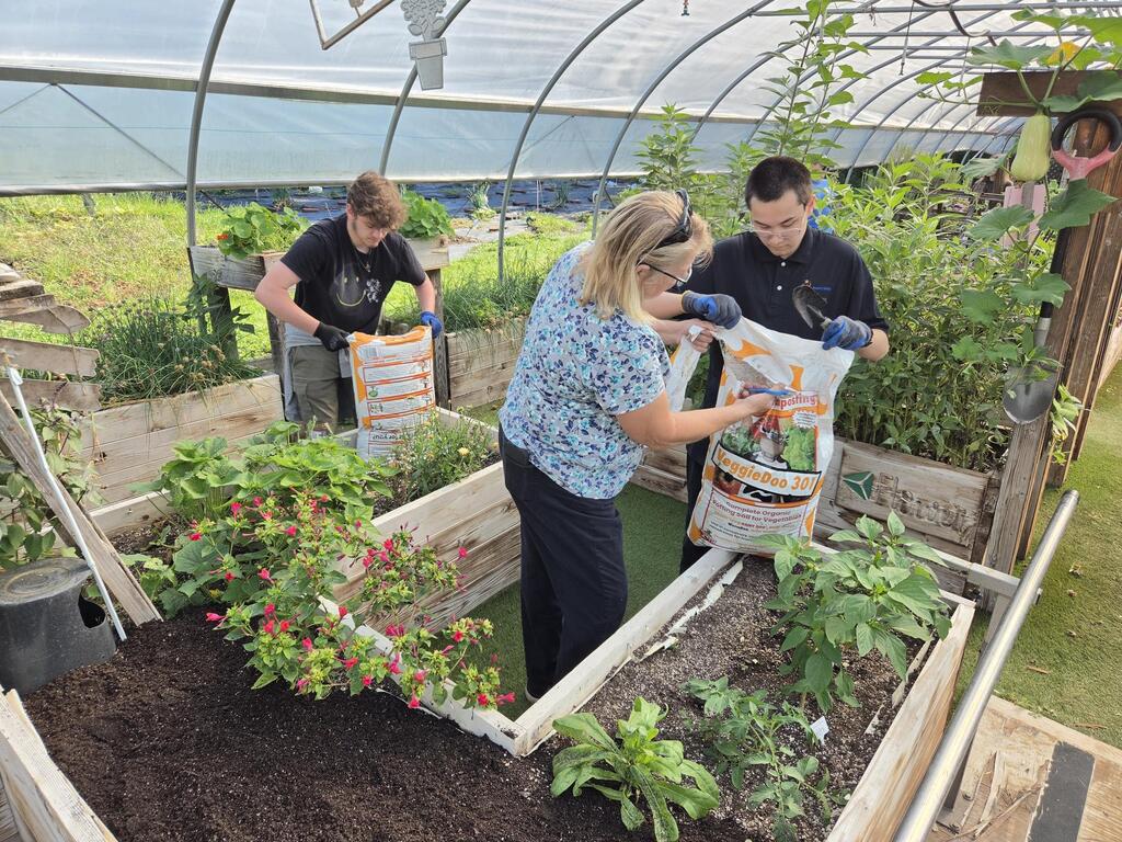 raised beds
