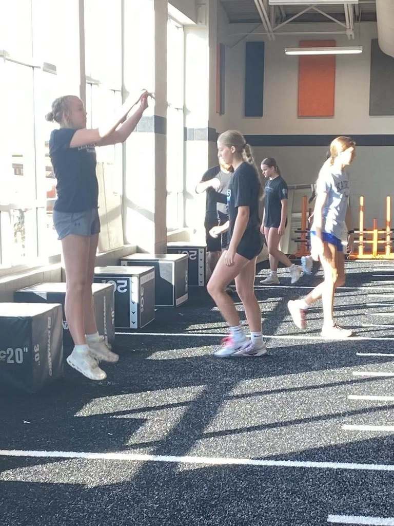 VB