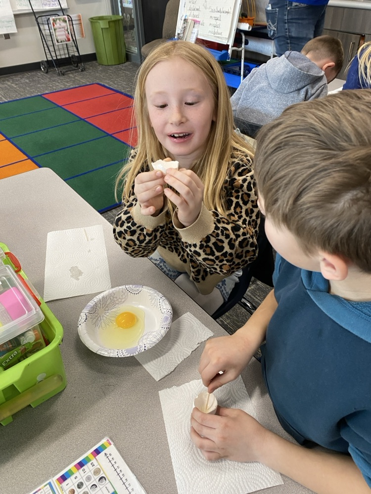 2nd grade eggs to chickens