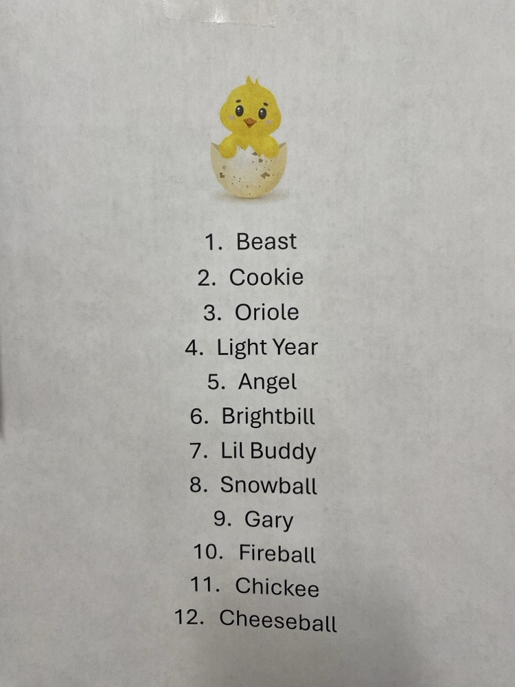 2nd grade eggs to chickens