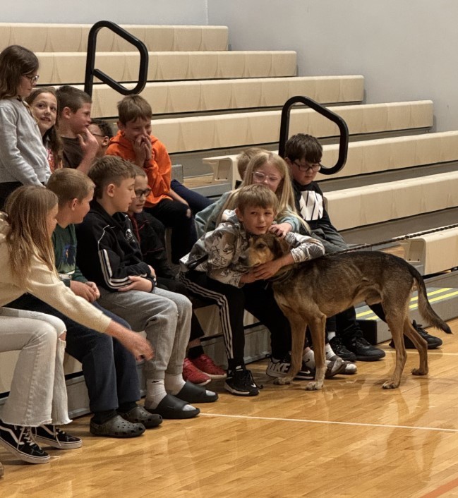 Dog Sled Visitors Lennox Elementary
