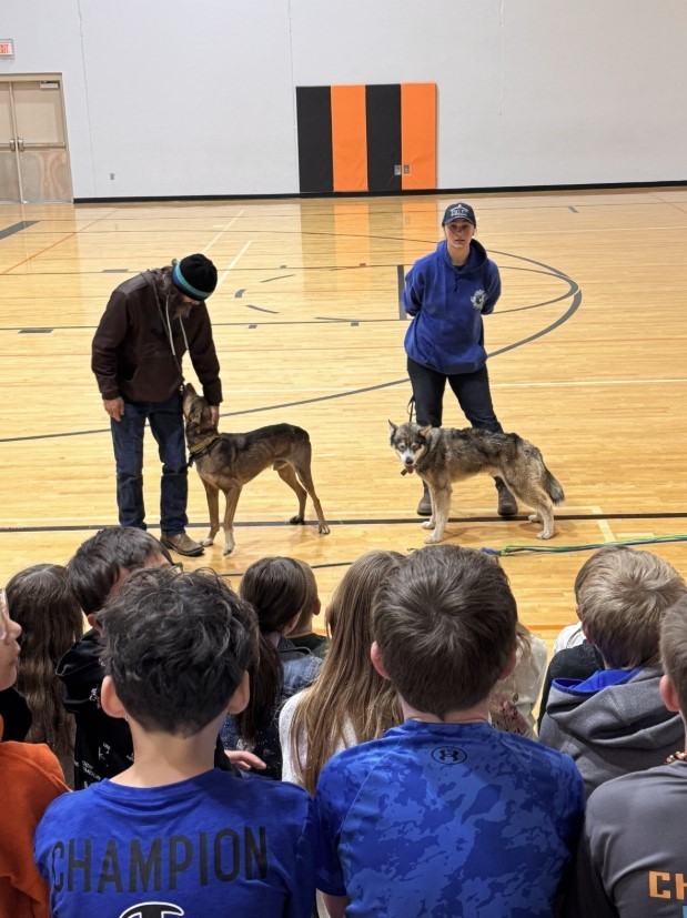 Dog Sled Visitors Lennox Elementary