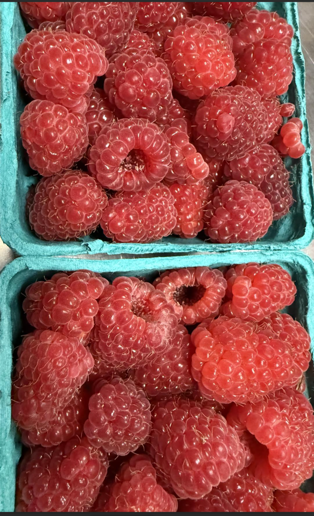 Locally Sourced Food