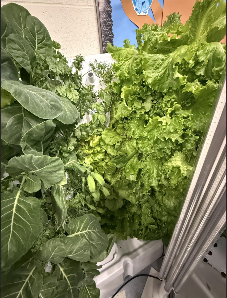 National School Lunch Week