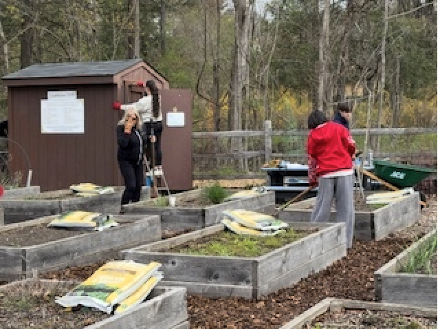 Community Garden Clean Up