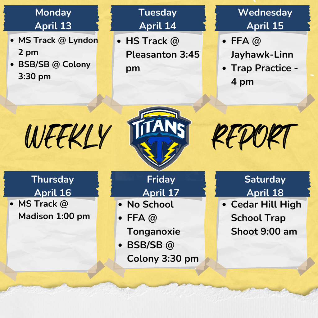 Weekly Report!