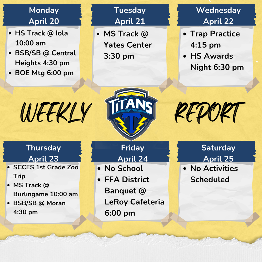 Weekly Report!
