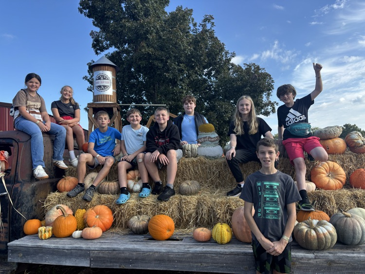 pumpkin patch