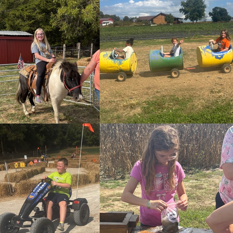 pumpkin patch