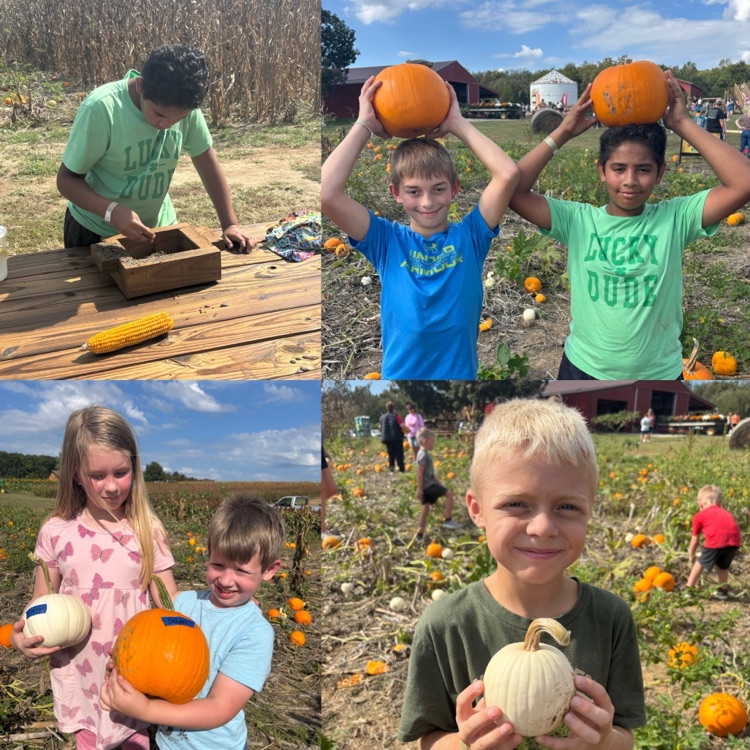 pumpkin patch