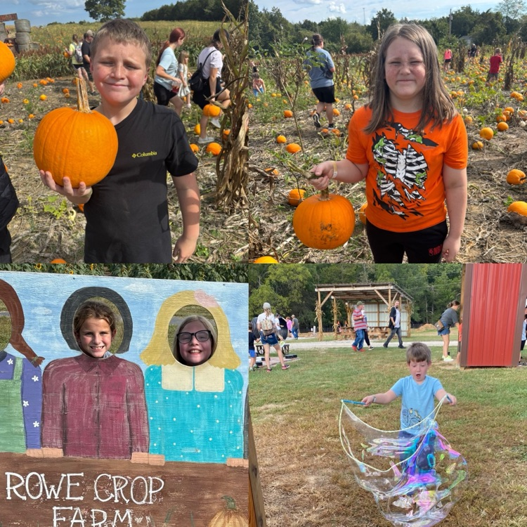 pumpkin patch