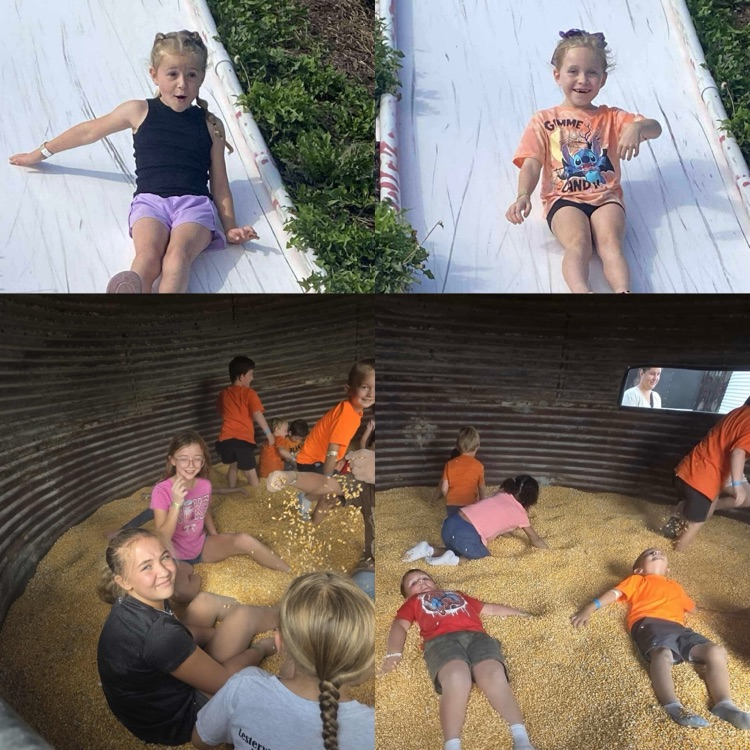 pumpkin patch