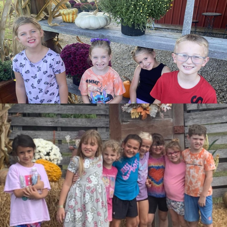 pumpkin patch