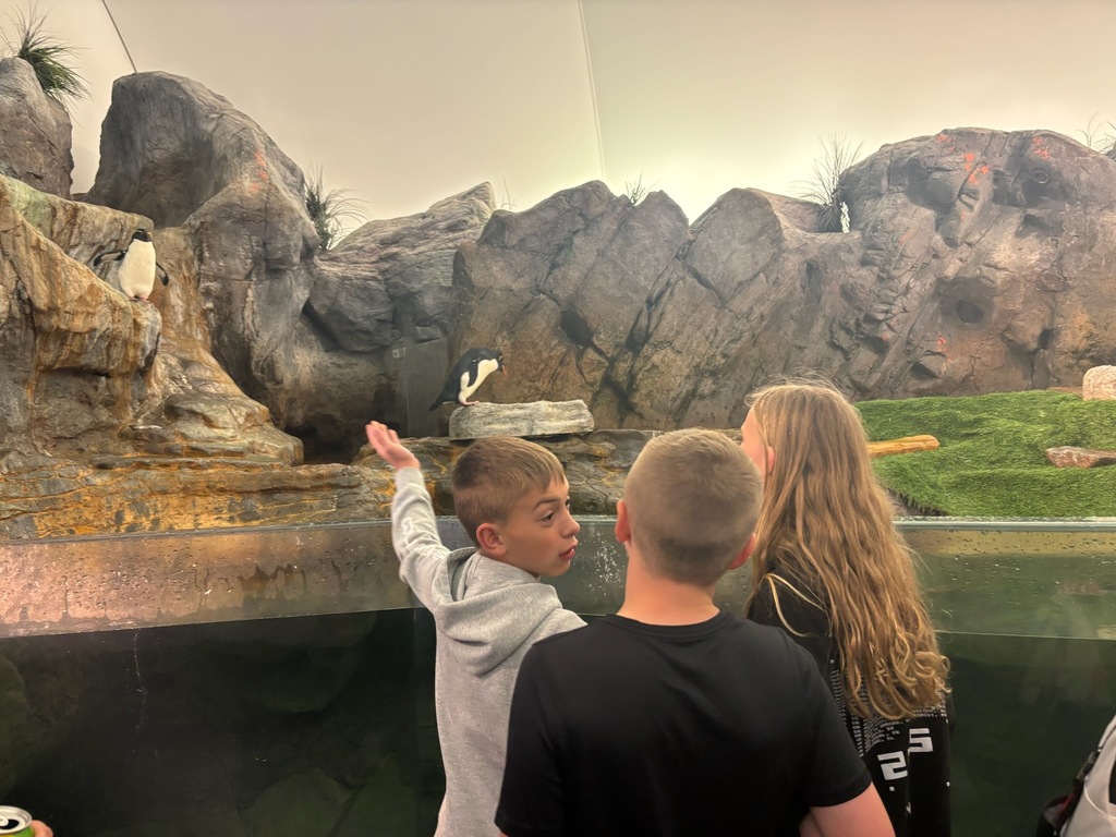 zoo