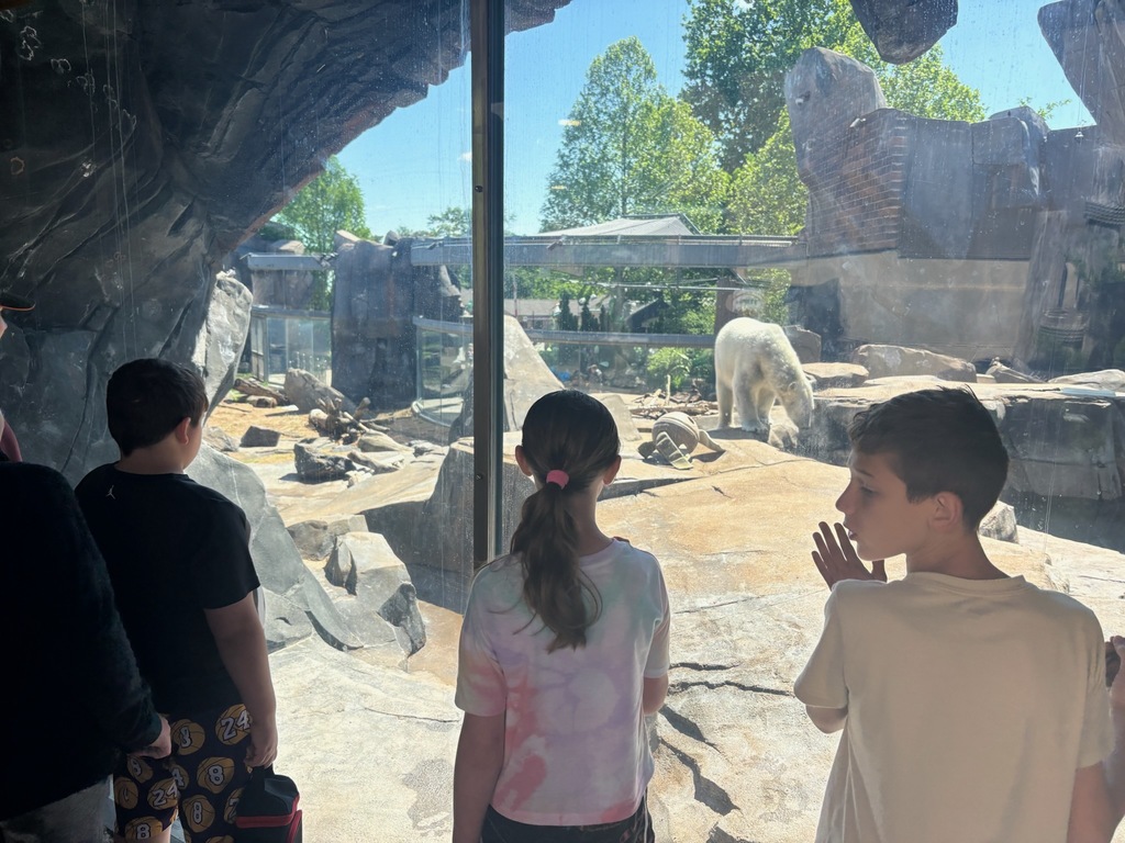 zoo