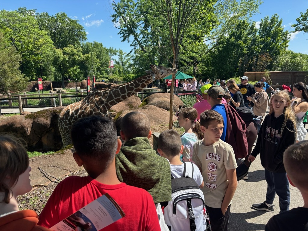 zoo