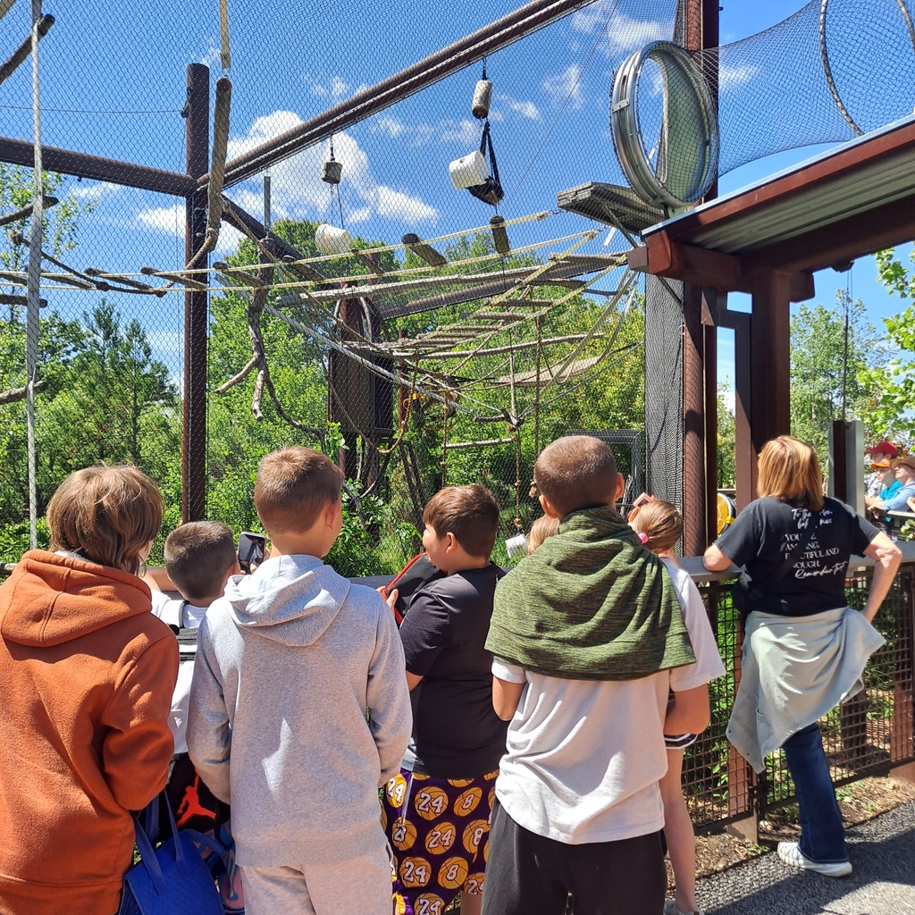 zoo