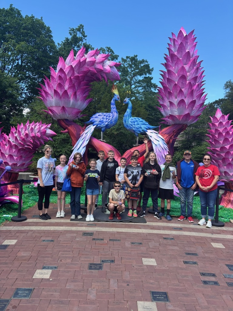 zoo
