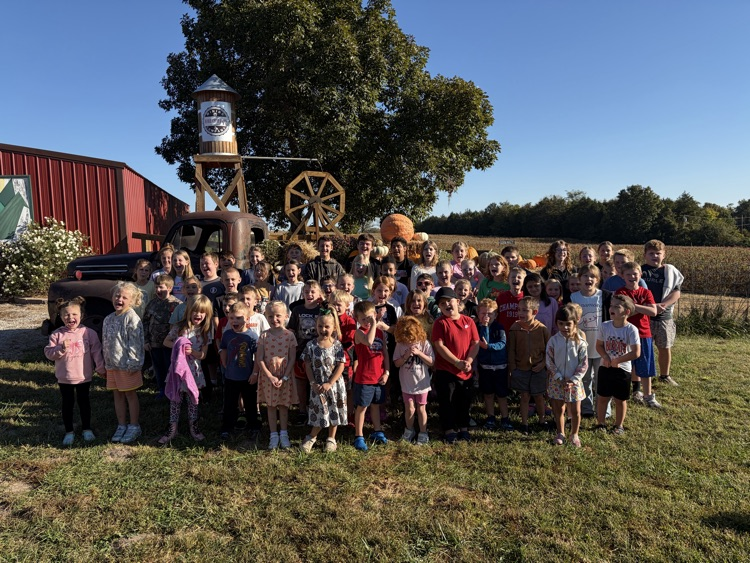 pumpkin patch 