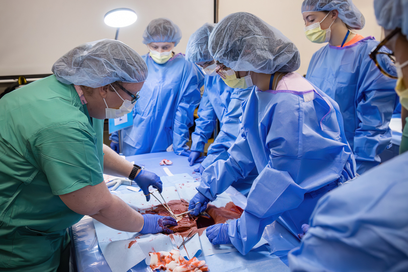 Students participate in a trauma exercise using a life-size dummy