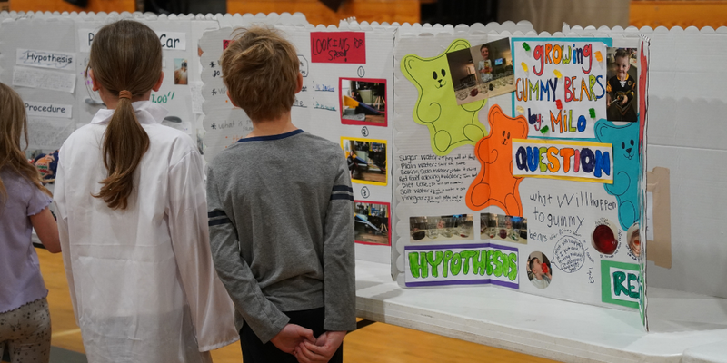 Students look at Tri-folds in the Science fair area of STEAM Day